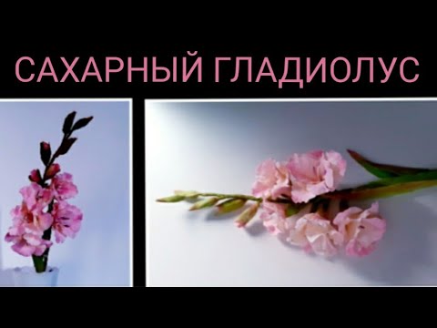 Видео: ГЛАДИОЛУС ДЛЯ ТОРТА/SUGAR GLADIOLUS FOR CAKE/МАСТЕР-КЛАСС