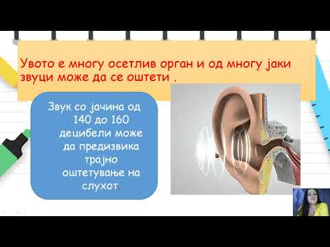 Видео: IV одделение - Природни науки - Создавање и мерење на звукот, како патува звукот