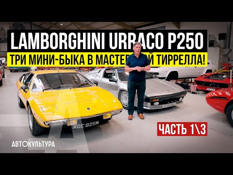 Видео: Lamborghini Urraco P250. Три мини-быка в мастерской Тиррелла! Часть 1\3 | Tyrrell's Classic Workshop