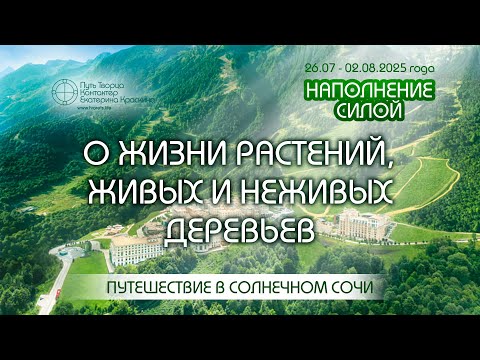 Видео: Наполнение силой - О жизни растений, живых и неживых деревьев