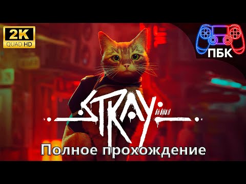 Видео: Stray ► Полное прохождение (Без комментариев)