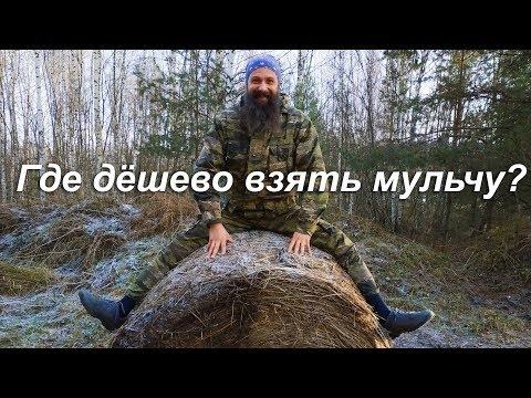 Видео: Где дёшево взять мульчу?