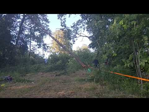 Видео: Как все начиналось. Сельская ипотека 2025.