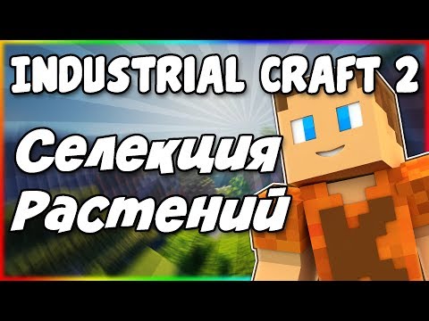 Видео: Гайд по Industrial Craft 2 1.12.2 #7 Селекция
