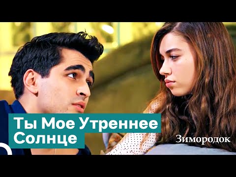 Видео: Этот Притяжение Сожжет Нас Обоих? | Зимородок