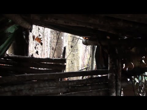 Видео: Барліг диких людей.