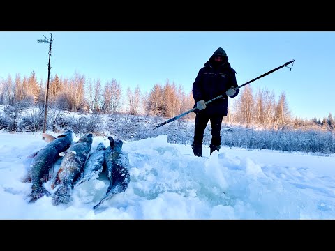 Видео: Таёжные отшельники быт в -30 рыбалка начало холодов (30 лет одиночества 49 серия)