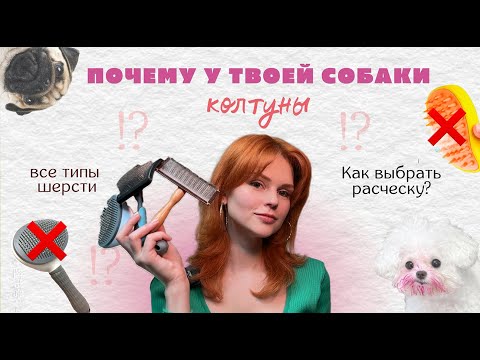 Видео: Как вычесать собаку дома? рассказывает грумер, все типы шерсти на практике, вычес колтунов