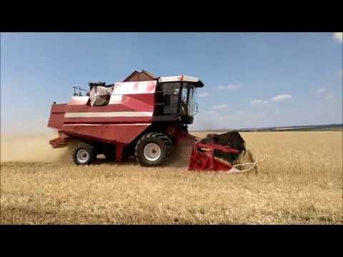 Видео: Уборка зерновых 2018г. ПАЛЕССЕ GS812. Часть 1