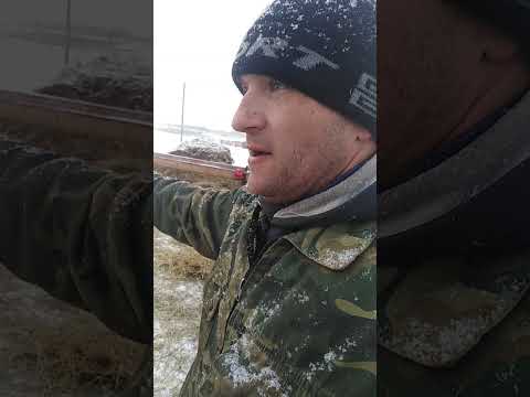 Видео: Кормушки для овец.