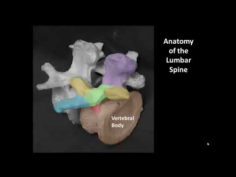Видео: Ультразвуковой срединный доступ к спинальной/эпидуральной анестезии