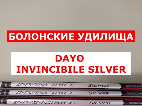 Видео: DAYO INVINCIBILE SILVER - ОБЗОР БОЛОНСКИХ УДИЛИЩ | ПЛЮСЫ и МИНУСЫ МОДЕЛИ | СИЛОВЫЕ БЮДЖЕТНЫЕ УДИЛИЩА