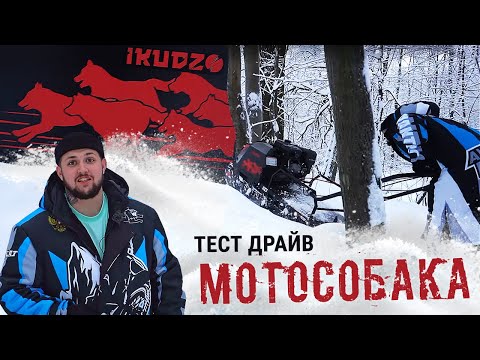 Видео: Тестим мотобуксировщик IKUDZO (ИКУДЗО) EKR 20, АВАРИЯ, но мы выжили!