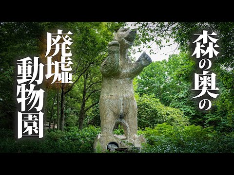 Видео: Поиск заброшенного зоопарка в глубине леса [Joyland Tarumae, парк дикой природы Хоккайдо]