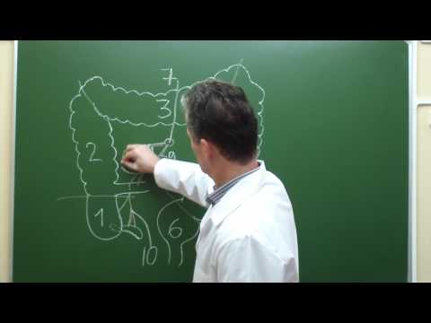 Видео: Схема кровоснабжения толстой кишки