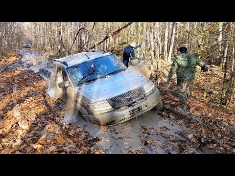 Видео: Offroad Уаз Патриот на цепях и  Патриот на 32 колесах по грязи к Оке!