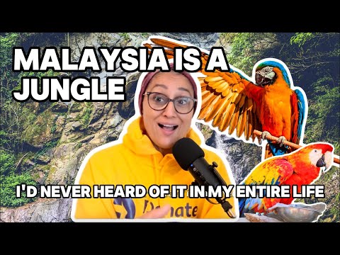Видео: Причины, почему Малайзия лучше остального мира #malaysia #kualalumpur #fyp #lifeabroad