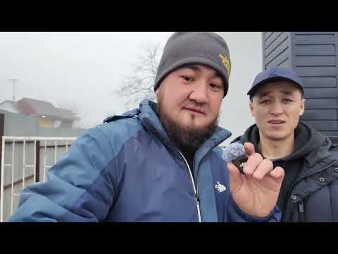 Видео: Кадамжайда Даяр бизнес алам дегендерге мына #баткен #rek #2025 #кадамжай #food #той #ош