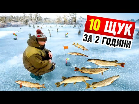 Видео: Закинуте болото кишить ЩУКОЙ! Клює кожні 5 хвилин!