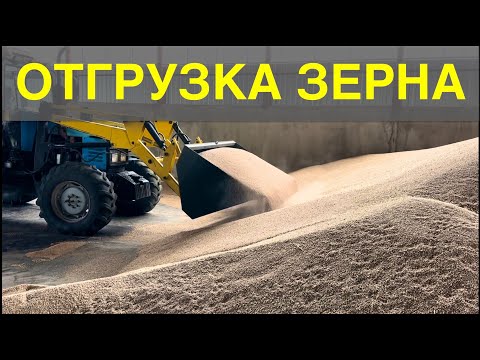 Видео: Продаю пшеницу дороже, чем экспорт. Прокачали Кировец до 280 л/с