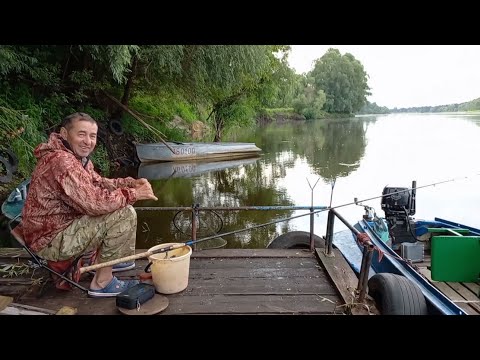 Видео: Рыбалка и день рождения на Припяти.