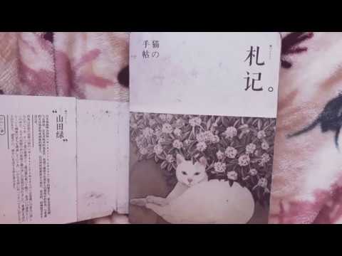 Видео: Скетчбук/Sketchbook