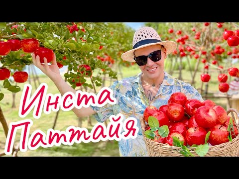 Видео: Островок Италии в Таиланде 🍎🍋🍕🍷