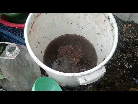 Видео: Заготовка Моховухи, Опил в теплицу, гипс чесноку