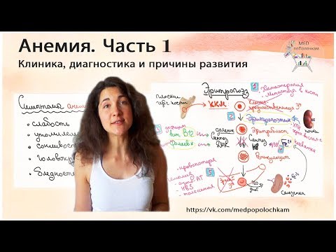 Видео: Анемия(часть 1): причины, от костного мозга до селезенки
