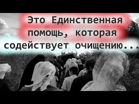 Видео: Я был Изумлён и Потрясен! Это Единственная помощь, которая содействует очищению разума! Мудрость