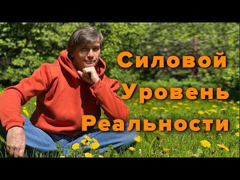 Видео: Что такое Силовой уровень | Разные модели сознания