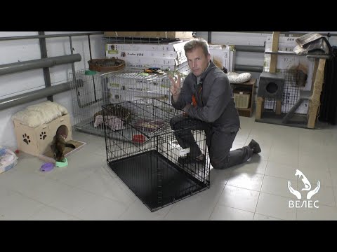 Видео: Универсальная гуманная ловушка из клетки для содержания животных с задвижной дверцей.