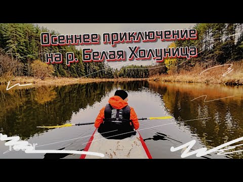 Видео: Золотая осень на Белой Холунице
