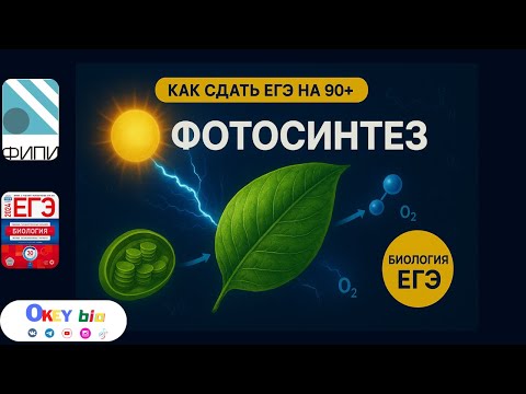 Видео: Метаболизм (Часть 2) : ФОТОСИНТЕЗ. Разбор темы ЕГЭ 2026