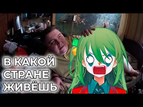 Видео: CONWAY смотрит репортажи про засранные хаты