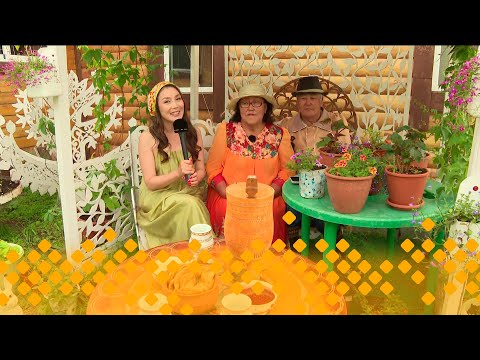 Видео: «Тиэргэн»: Гуляевтар тиэргэннэригэр (23.07.25)