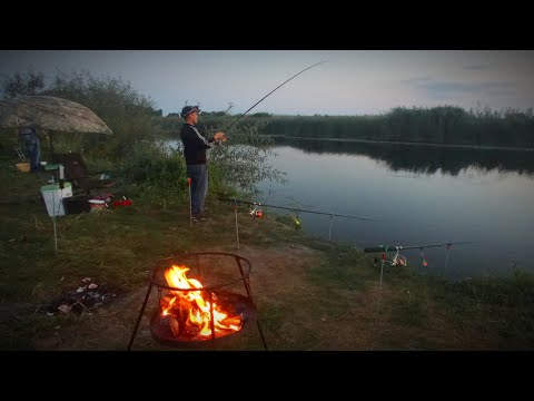 Видео: Дубасим КАРАСЯ на СУПЕР НАСАДКУ. РЫБАЛКА на КОРМАКИ (пружину).Рыбалка на Карася