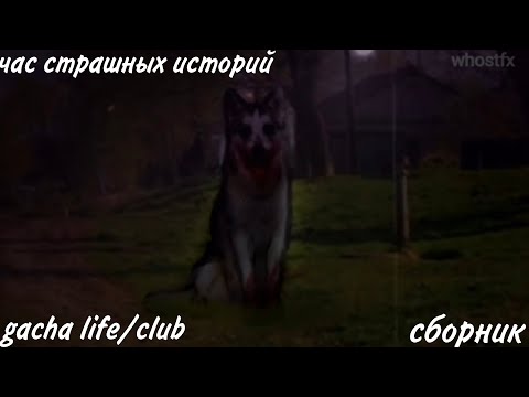 Видео: СБОРНИК СТРАШНЫХ ИСТОРИЙ ГАЧА ЛАЙФ/КЛУБ. Gacha life/club