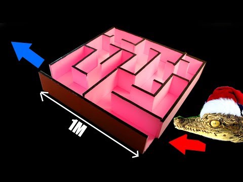 Видео: ЛАБИРИНТ ДЛЯ КРОКОДИЛА -  КТО БЫСТРЕЙ ВЫЙДЕТ: КРАБ, ЯЩЕРИЦА, СКОРПИОН, КРОКОДИЛ?