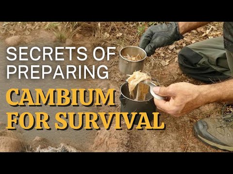 Видео: Изучите эту технику, чтобы больше никогда не голодать!