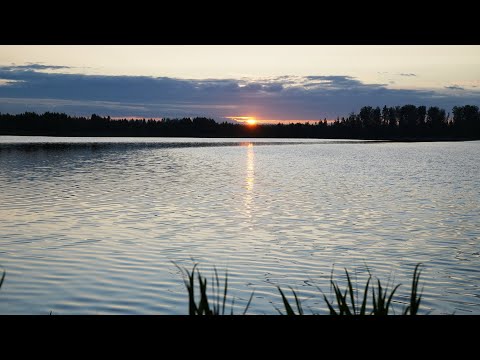 Видео: Новое место для кемпинга в Подмосковье. Мы одни и в восторге!