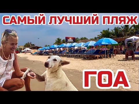 Видео: Индия. Как выглядит САМЫЙ лучший пляж в Гоа. ШОКИРУЮЩИЕ ЦЕНЫ в шеках #бенаулим #гоа #benaulim #индия