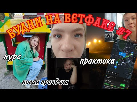 Видео: будни на ветфаке #7 | ною на камеру 20 минут и 42 секунды