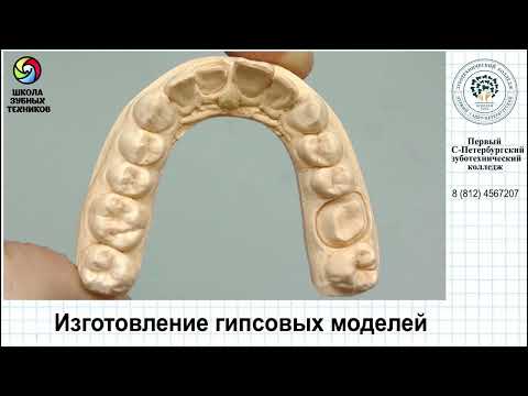 Видео: Изготовление гипсовых моделей. Часть 2