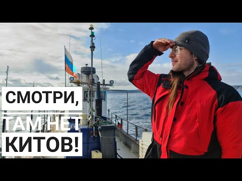 Видео: С @ZooLogovo  достигли края, но не дна! Море Баренцево, океан Ледовитый, вода мокрая, небо синее