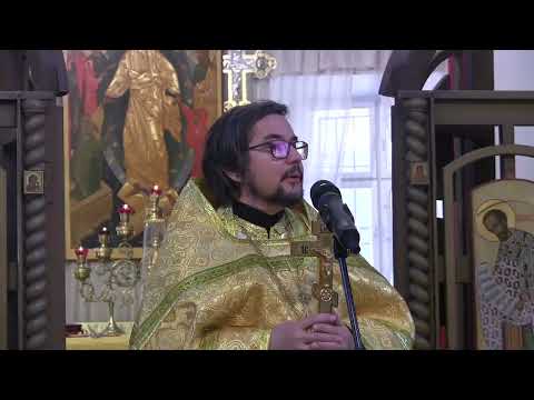 Видео: Проповедь на Литургии 29 10 2025 свящ. Дмитрий Агеев