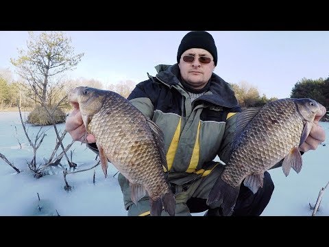 Видео: КАРАСИ МОНСТРЫ в КАРЬЕРЕ ЗАБРОШКЕ!