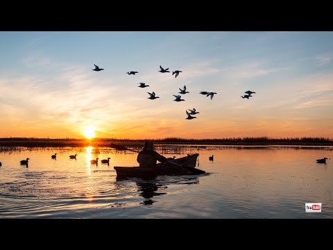 Видео: ОХОТА НА ТУРПАНА В ЯКУТИИ 2021. КОЛЫМА.4 СЕРИЯ