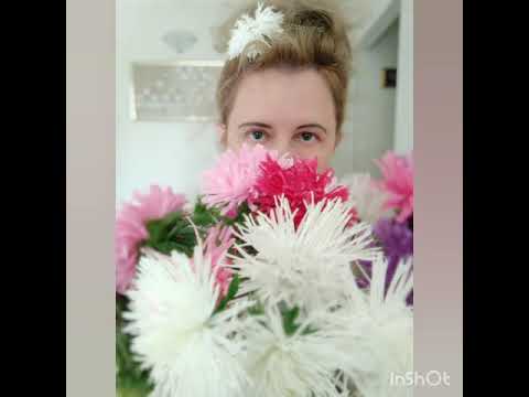 Видео: Рисуем белые  астры акварелью.