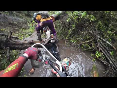 Видео: Орша ТРЕК SUSANIN 2025